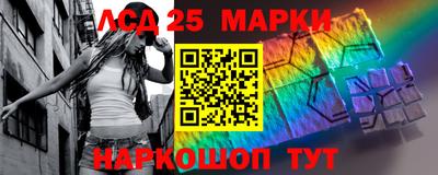 гашик Сланцы